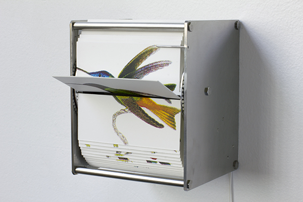 El artista Juan Fontanive construye folioscopios orientados a la ornitología que se repiten constantemente con la ayuda de mecanismos construidos a mano.